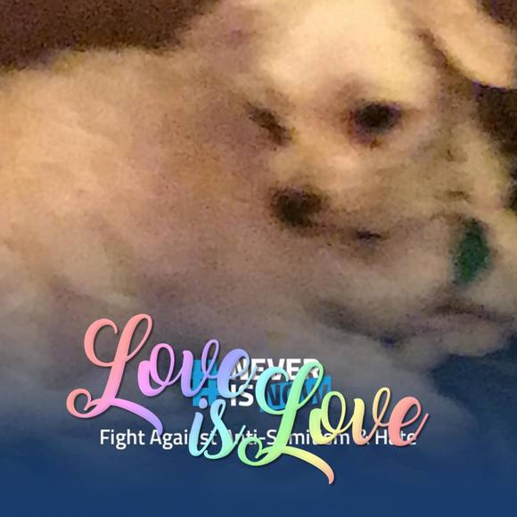 Meet your Posher, Marsha - Picture 1 of 1